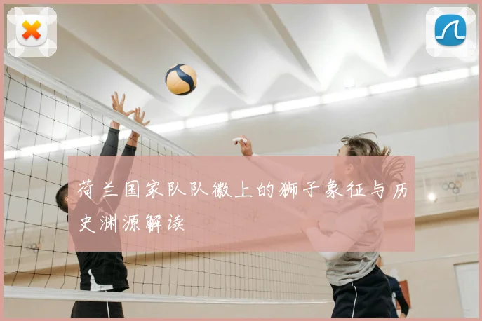 荷兰国家队队徽上的狮子象征与历史渊源解读