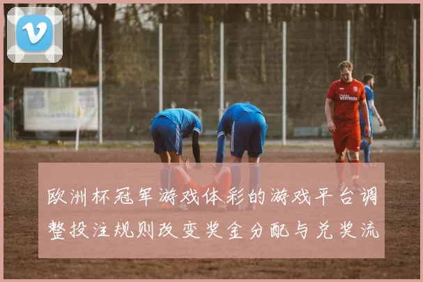 欧洲杯冠军游戏体彩的游戏平台调整投注规则改变奖金分配与兑奖流程看点