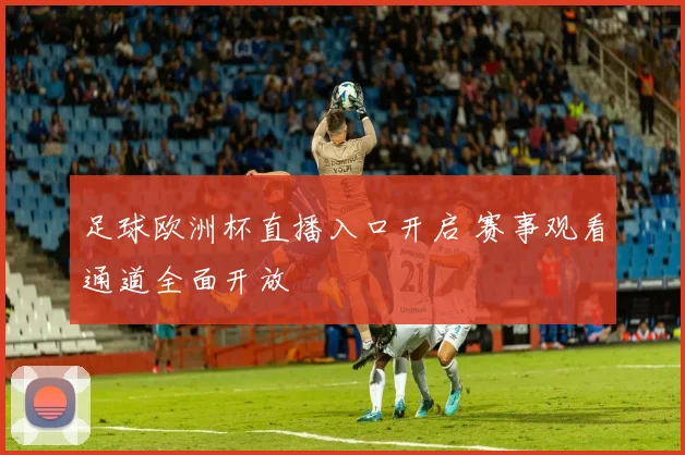 足球欧洲杯直播入口开启 赛事观看通道全面开放
