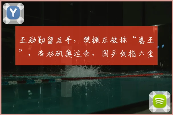 王励勤留后手,樊振东被称“卷王”,洛杉矶奥运会,国乒剑指六金