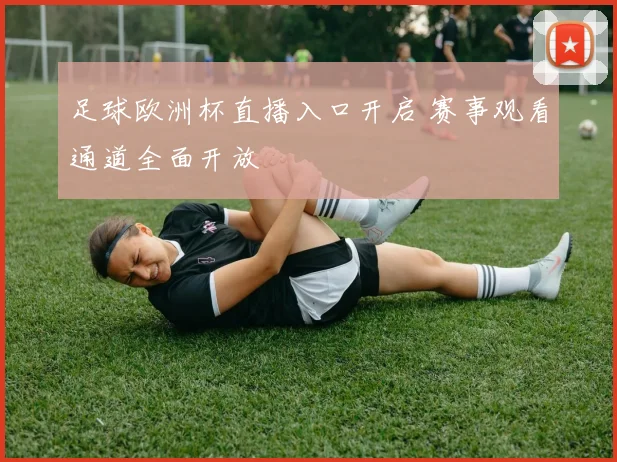 足球欧洲杯直播入口开启 赛事观看通道全面开放