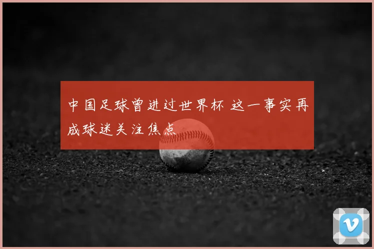 中国足球曾进过世界杯 这一事实再成球迷关注焦点